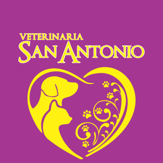 Veterinaria San Antonio