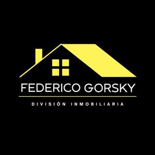 Federico Gorsky División Inmobiliaria